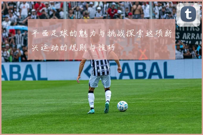 平面足球的魅力与挑战探索这项新兴运动的规则与技巧
