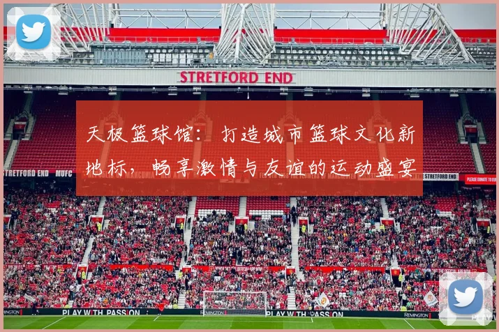 天极篮球馆：打造城市篮球文化新地标，畅享激情与友谊的运动盛宴