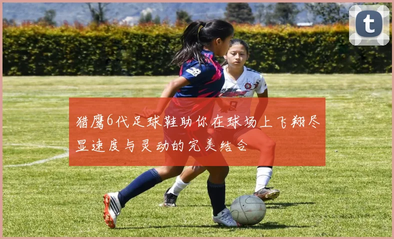 猎鹰6代足球鞋助你在球场上飞翔尽显速度与灵动的完美结合