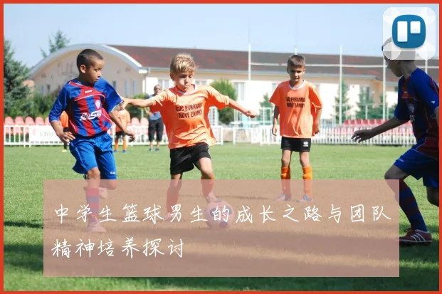 中学生篮球男生的成长之路与团队精神培养探讨