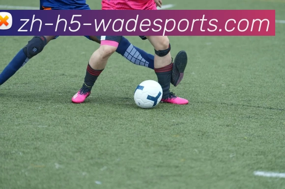 betvictor中国APP 封面图